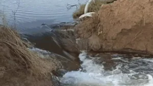 Haryana में बारिश और बाढ़ से हाहाकार: Ghaggar Drain में 50 Foot दरार, 5754 गांव जलमग्न, लाखों किसान परेशान