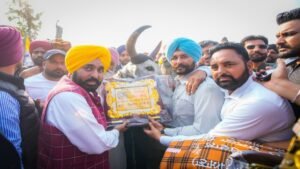 पिछली सरकारों के कार्यकाल के दौरान बैल गाड़ियों की दौड़ों पर रोक लगी थी, हमने कानून में संशोधन करके फिर से शुरू किया: CM भगवंत सिंह मान