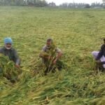 बेमौसम बारिश से तबाही के बीच Punjab पहुंचेगी केंद्रीय टीम, प्रभावित जिलों का करेगी दौरा