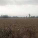 Punjab Weather: पंजाब में फिर बदला मौसम, आज और कल आंधी के साथ होगी बारिश; ओलावृष्टि का ऑरेंज अलर्ट