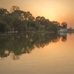 बिस्त दोआब नहरी नेटवर्क के तहत वर्ष 2025-26 में सिंचाई क्षेत्र में 167% वृद्धि, 1.10 लाख एकड़ अतिरिक्त रकबा सिंचाई के दायरे में आया