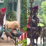 ‘दोस्त’ मोर और गाय को दाना-चारा खिलाते दिखे PM मोदी, वीडियो शेयर कर बताया अपना डेली रूटीन