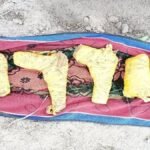 अमृतसर सीमा पर बड़ी कार्रवाई: 1 किलो 312 ग्राम आइस ड्रग और 3 पिस्तौल बरामद